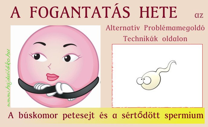 búskomor petesejt, sértődött spermium A petesejt és a hímivarsejt is információt, érzéseket hordoz, amelyek a megfogant életet befolyásolni fogják.