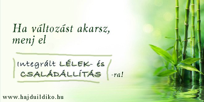 Integrált Lélek- és Családállítás Hajdú Ildikóval