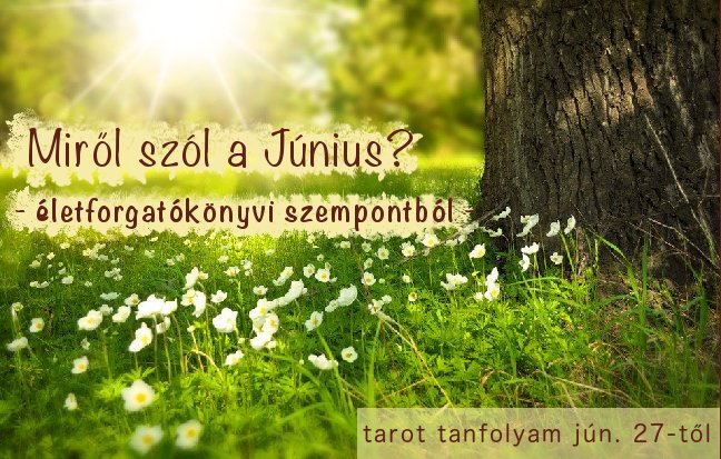Hogyan gondolkozz úgy mint egy vállalkozó – napról napra?